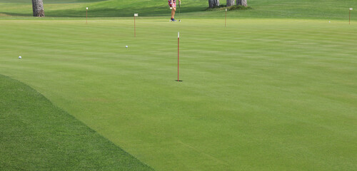 Obraz premium woman playing golf on green field