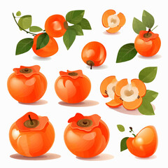 Obraz premium Illustrate your autumn-themed projects with these vibrant persimmon vector images.