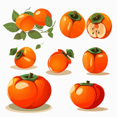 Set of vector images featuring ripe and juicy persimmons.
