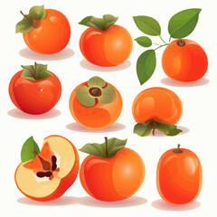 Add a touch of sweetness to your branding with these persimmon vector illustrations.