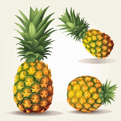 Create visually appealing designs with this collection of pineapple vector graphics.