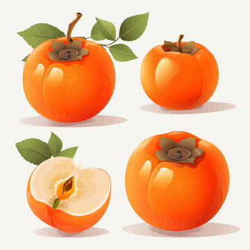 Vector illustrations of persimmon perfect for nature-inspired projects.