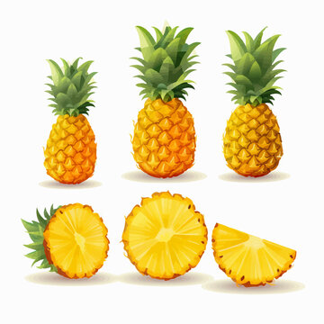 Pineapple Vector Images Browse 641 Stock Photos Vectors And Video