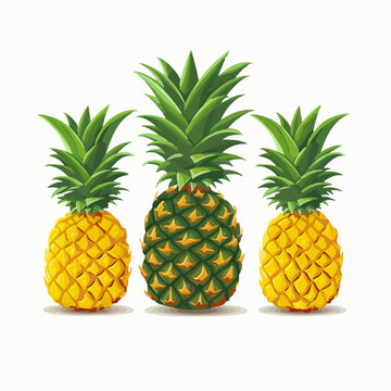 Illustrate your projects with these fresh pineapple vector images.
