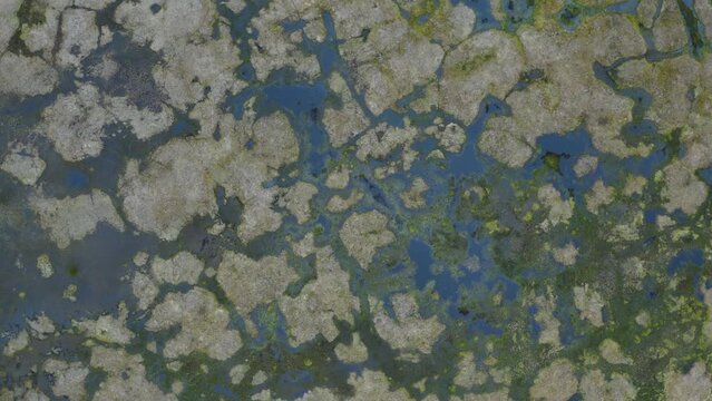 Aerial Drone View Barrow Alaska top down over thawed permafrost
