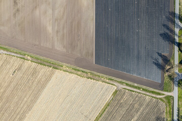 Aerial view on big planted fields on a sunny day. Harvest, crop on the fields. Symbol of agriculture industry. Work on the field. Top view on field textures, plantations.