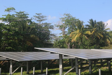 solar panels on the garden