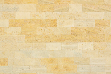 Obraz premium Shell limestone wall texture background.