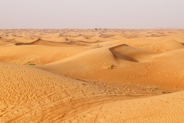 Fototapeta na wymiar Amazing views of the Sahara desert under the day clean sky. Endless sand, sandstorm, ancient egypt, heat, sun, dust. Lifeless wasteland concept. Beautiful background