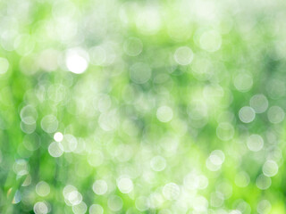 Obraz premium Abstract summer green background with defocus lights. Summertime concept