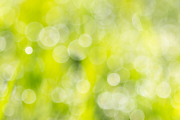Obraz premium Abstract summer yellow background with defocus lights. Summertime concept