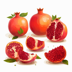 Naklejka premium Create visually appealing designs with this collection of pomegranate vector graphics.