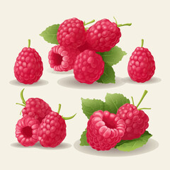 A delightful set of raspberry vector illustrations for your design projects.