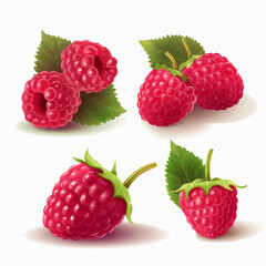 Bring the taste of raspberries to your designs with these vector illustrations.