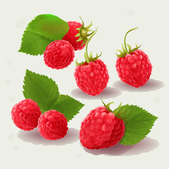Add a pop of red to your designs with these raspberry vector graphics.