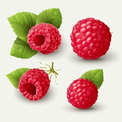 Set of vector illustrations featuring delicious raspberries.