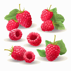 Create eye-catching designs with this set of raspberry vector images.