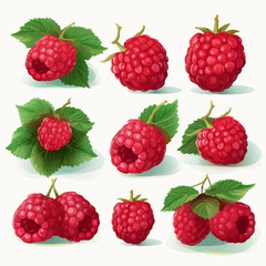 Bring a taste of summer to your projects with these raspberry vector images.