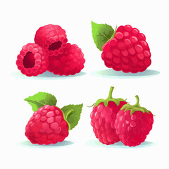Illustrate your recipes or menus with these delicious raspberry vector illustrations.