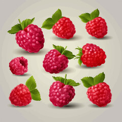 Add a touch of freshness to your designs with these raspberry vector illustrations.