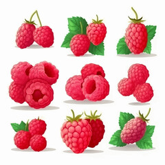 Add a fruity twist to your designs with these raspberry vector graphics.