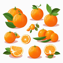 A vibrant tangerine vector illustration with a collection of stickers.