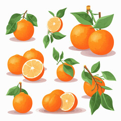 A pack of colorful tangerine stickers in a vector format for your creative projects.