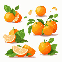 A set of tangerine-themed vector graphics, perfect for food and beverage designs.