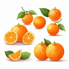 A pack of vibrant tangerine stickers created as vector illustrations.
