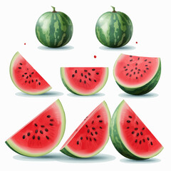 A vibrant watermelon vector illustration with a collection of stickers.