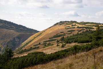 Fototapeta premium Bare grassy mountain slope in KRNAP-Krkonoše Nationa Park, Czechia, partly cloudy, dappled lighting, growth of dwarf mountain pines. Paths, marking wooden poles, tourist in the distance.