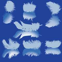 seven feathers with reflection on blue background