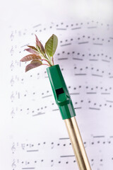 An Irish penny whistle and a notebook with notes
