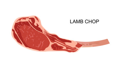 Lamb chop in flat illustration. Meat product isolated on white background. Piece of chop lamb with bone. Vector illustration © Narek