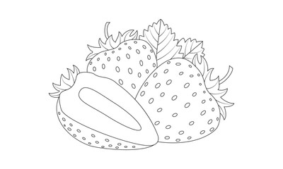 Strawberry doodle Vector illustration coloring book for kids and adults
