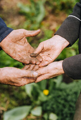 Elderly man and woman gardeners hold hands, holding earthen soil, enjoying nature outdoors....