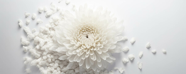 A solitary chrysanthemum surrounded by an ocean of white petals.. AI generation. Generative AI