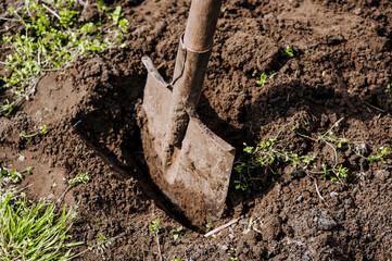 A shovel with a handle, a garden tool in earthen soil close-up. Photography, nature.