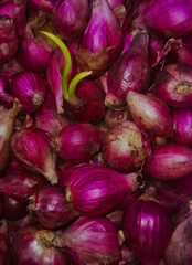 Photo of the red onion