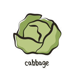 Cabbage vector icon in simple style. Head of cabbage in cartoon style. Fresh green vegetable pictogram. Vector illustration. Generative AI