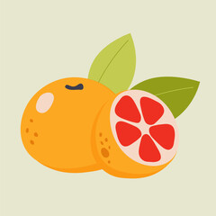 Vector illustration of grapefruit and half of grapefruit on a beige background. Hand-drawn fruits in bright colors. Suitable for illustrating healthy eating, recipes, local farm. Card with grapefruits
