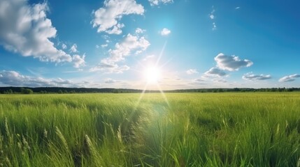 Natural landscape of a green field with grass against a blue sky with sun, bright sun in the sky, AI