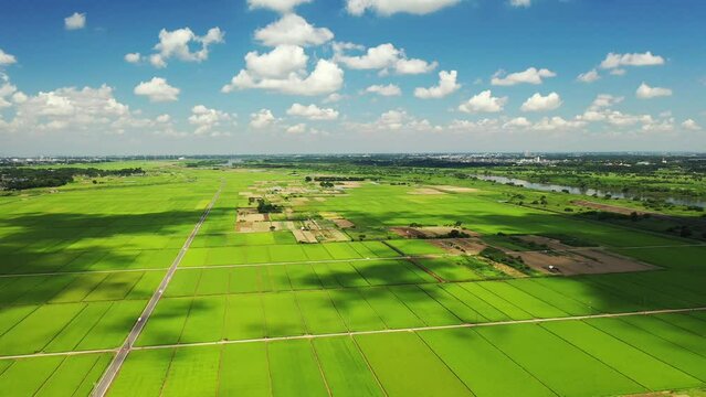 千葉県我孫子市の田園風景