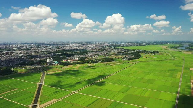 千葉県我孫子市の田園風景