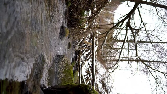 Water is flowing in stream river through the stones in winter snowy forest. Generative AI