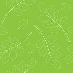 Seamless pattern with leaves. Bright summer background. Rosehip leaves.