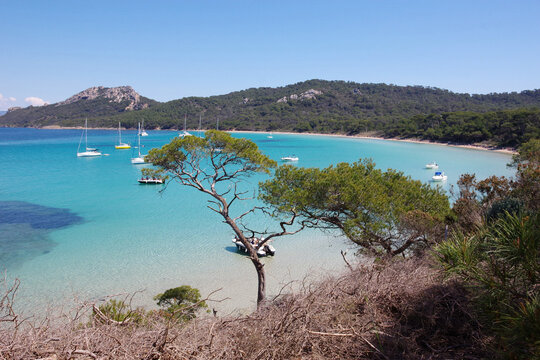 Plage de Notre Dame (Ile de Porquerolles - France)