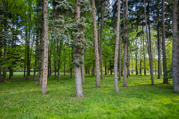 Fototapeta premium Sunset view of South Park in city of Sofia, Bulgaria