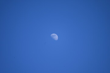 moon