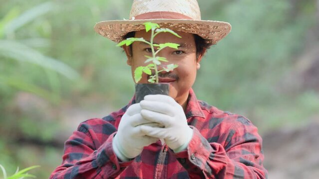 Asian woman holding plant a tree in forest.